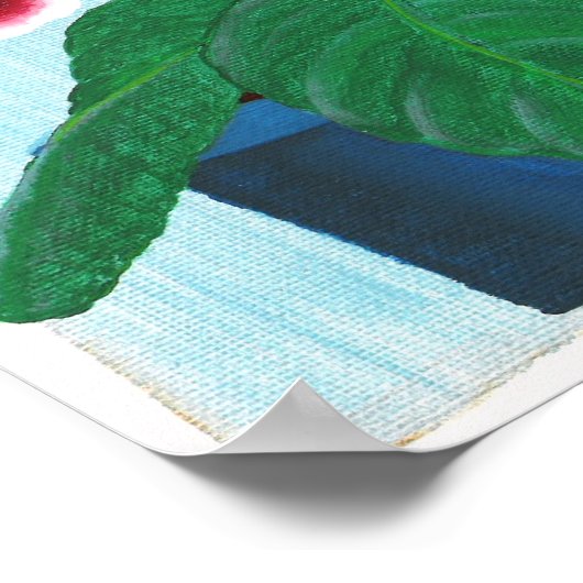 Red White Gloxinia African Violet Blume Poster (Ecke)