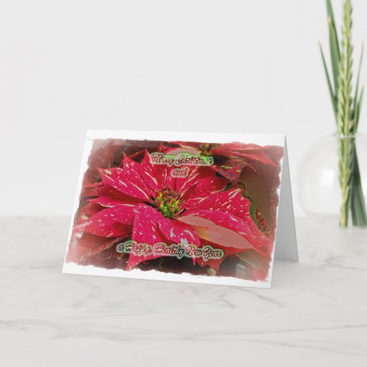 Red & White Poinsettia Frohe Weihnachten & Neues J Karte (Vorderseite)