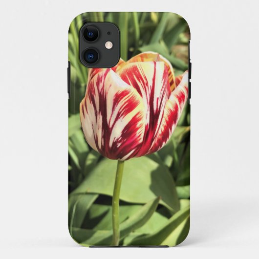 Red & White Tulip Case-Mate iPhone Hülle (Rückseite)