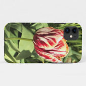 Red & White Tulip Case-Mate iPhone Hülle (Rückseite (Horizontal))