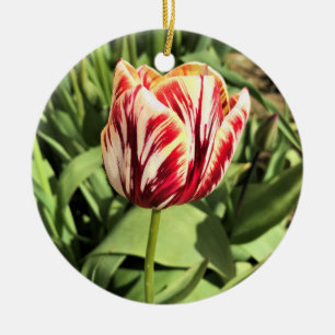 Red & White Tulip Keramik Ornament