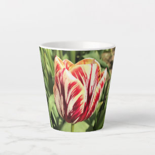 Red & White Tulip Milchtasse
