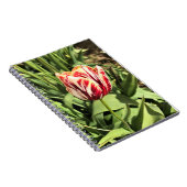 Red & White Tulip Notizblock (Rechte Seite)