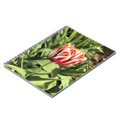 Red & White Tulip Notizblock (Linke Seite)