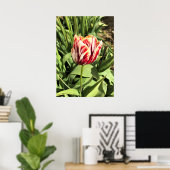 Red & White Tulip Poster (Heimbüro)