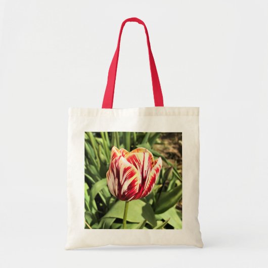 Red & White Tulip Tragetasche (Vorne)