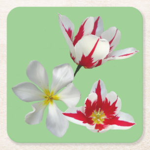 Red White Tulips Nah Up Paper Untersetzer