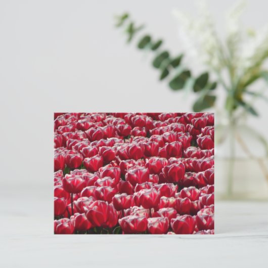 Red White Tulips Pattern DIY Postcard Postkarte (Stehend Vorderseite)