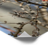 Red Wild Berries Poster (Ecke)