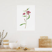 Red Willowweed Print von Mary Vaux Walcott Poster (Küche)