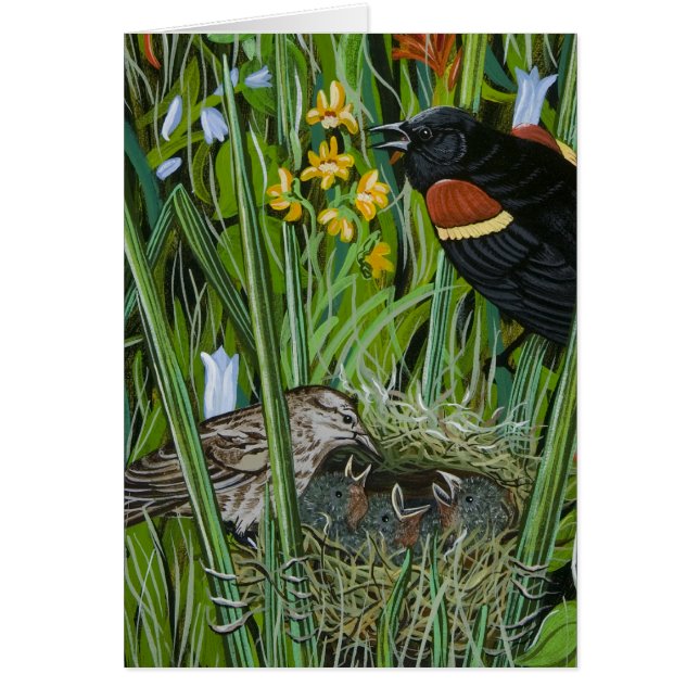 Red Wing Blackbird (Vorne)