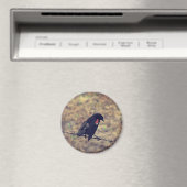 Red Wing Blackbird auf Barbed Wire Magnet (In Situ (Geschirrspüler))