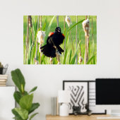 Red Wing Blackbird auf Reeds Poster (Heimbüro)