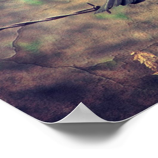 Red Wing Blackbird Poster (Ecke)