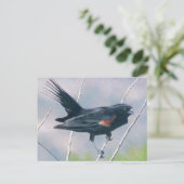 Red Wing Blackbird Postkarte (Stehend Vorderseite)
