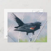 Red Wing Blackbird Postkarte (Vorne/Hinten)