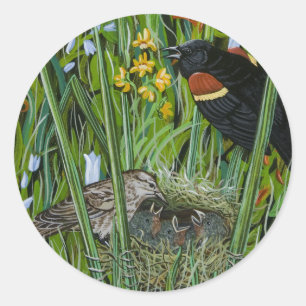 Red Wing Blackbird Runder Aufkleber