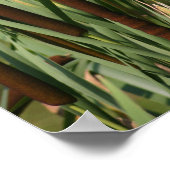 Red Wing Poster (Ecke)