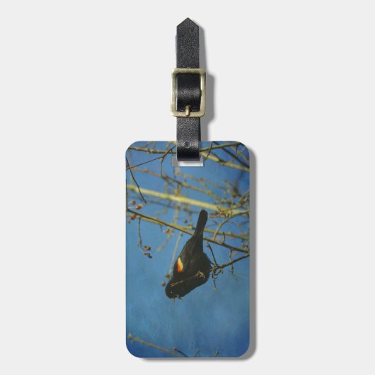 Red-Winged Black Bird singen Gepäckanhänger (Vorderseite vertikal)