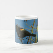Red-Winged Black Bird singen Kaffeetasse (Mittel)