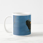 Red-Winged Black Bird singen Kaffeetasse (Links)