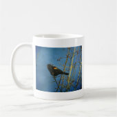 Red-Winged Black Bird singen Kaffeetasse (Links)