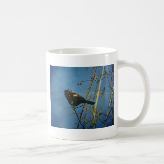Red-Winged Black Bird singen Kaffeetasse (Rechts)