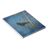 Red-Winged Black Bird singen Notizblock (angewinkelt)