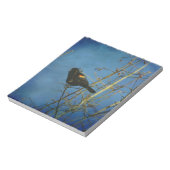 Red-Winged Black Bird singen Notizblock (Rotiert)