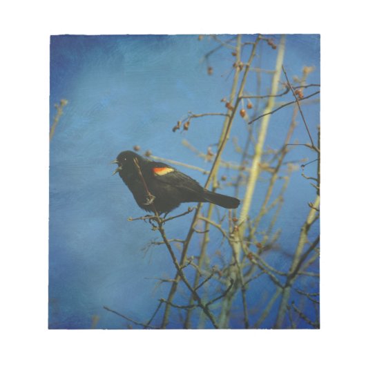 Red-Winged Black Bird singen Notizblock (Vorderseite)