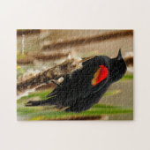 Red-Winged Blackbird auf dem Bulrush Puzzle (Horizontal)