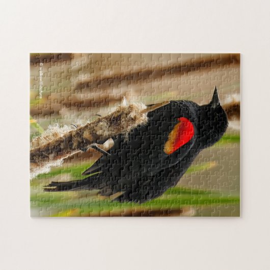 Red-Winged Blackbird auf dem Bulrush Puzzle (Horizontal)