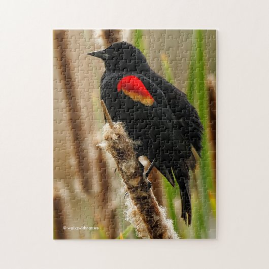 Red-Winged Blackbird auf dem Bulrush Puzzle (Vertikal)