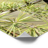 Red Winged Blackbird - Bad Hair Day Spaß Poster (Ecke)