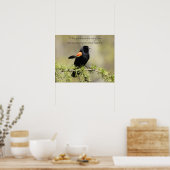 Red Winged Blackbird - Bad Hair Day Spaß Poster (Küche)