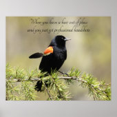 Red Winged Blackbird - Bad Hair Day Spaß Poster (Vorne)