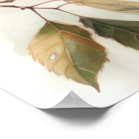 Red Winged Blackbird Bird Art Print Poster (Ecke)