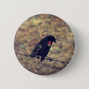 Red Winged Blackbird Button