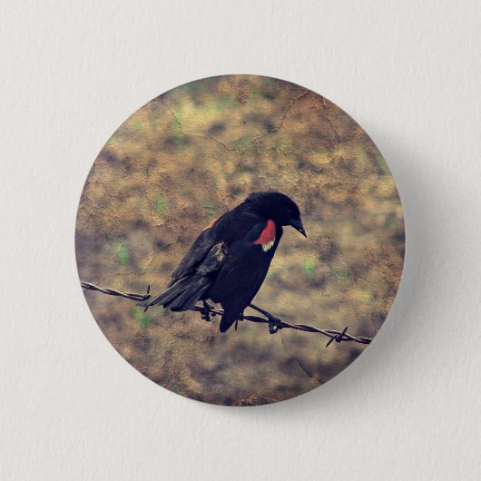 Red Winged Blackbird Button (Vorderseite)