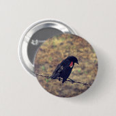 Red Winged Blackbird Button (Vorne & Hinten)