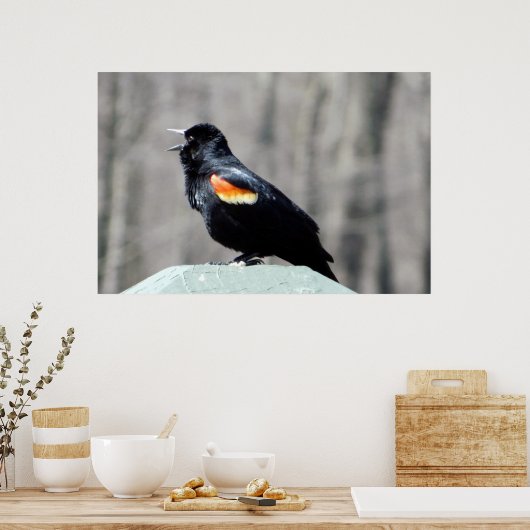 Red Winged Blackbird Call to Spring Poster (Küche)