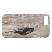 Red Winged Blackbird Case-Mate iPhone Hülle (Rückseite (Horizontal))