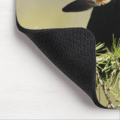 Red Winged Blackbird - feather out Mousepad (Ecke)