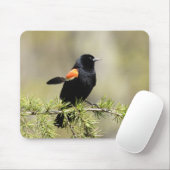 Red Winged Blackbird - feather out Mousepad (Mit Mouse)