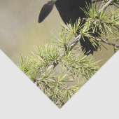 Red Winged Blackbird - Feather out Seidenpapier (Ausschnitt)