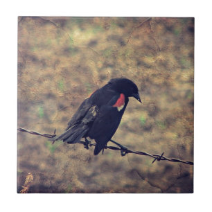 Red Winged Blackbird Fliese