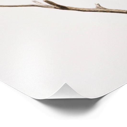 Red-Winged Blackbird Fotodruck (Ecke)