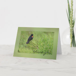 Red Winged Blackbird Greeting Card Dankeskarte