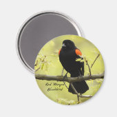 Red Winged Blackbird Magnet (Vorderseite/Rückseite)
