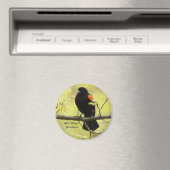 Red Winged Blackbird Magnet (In Situ (Geschirrspüler))